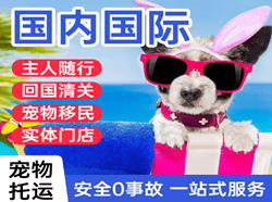 五台山空运公司国际宠物托运 【国